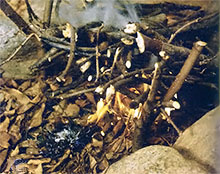 Step six: With the kindling ignited, add larger branches to sustain a longer burn.